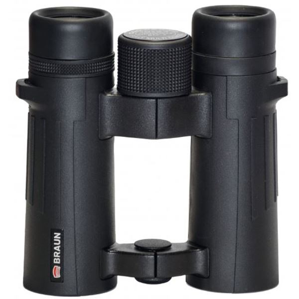 Picture of BRAUN COMPAGNO 10 X 34 WP